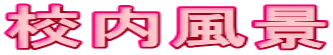 �Z�����i