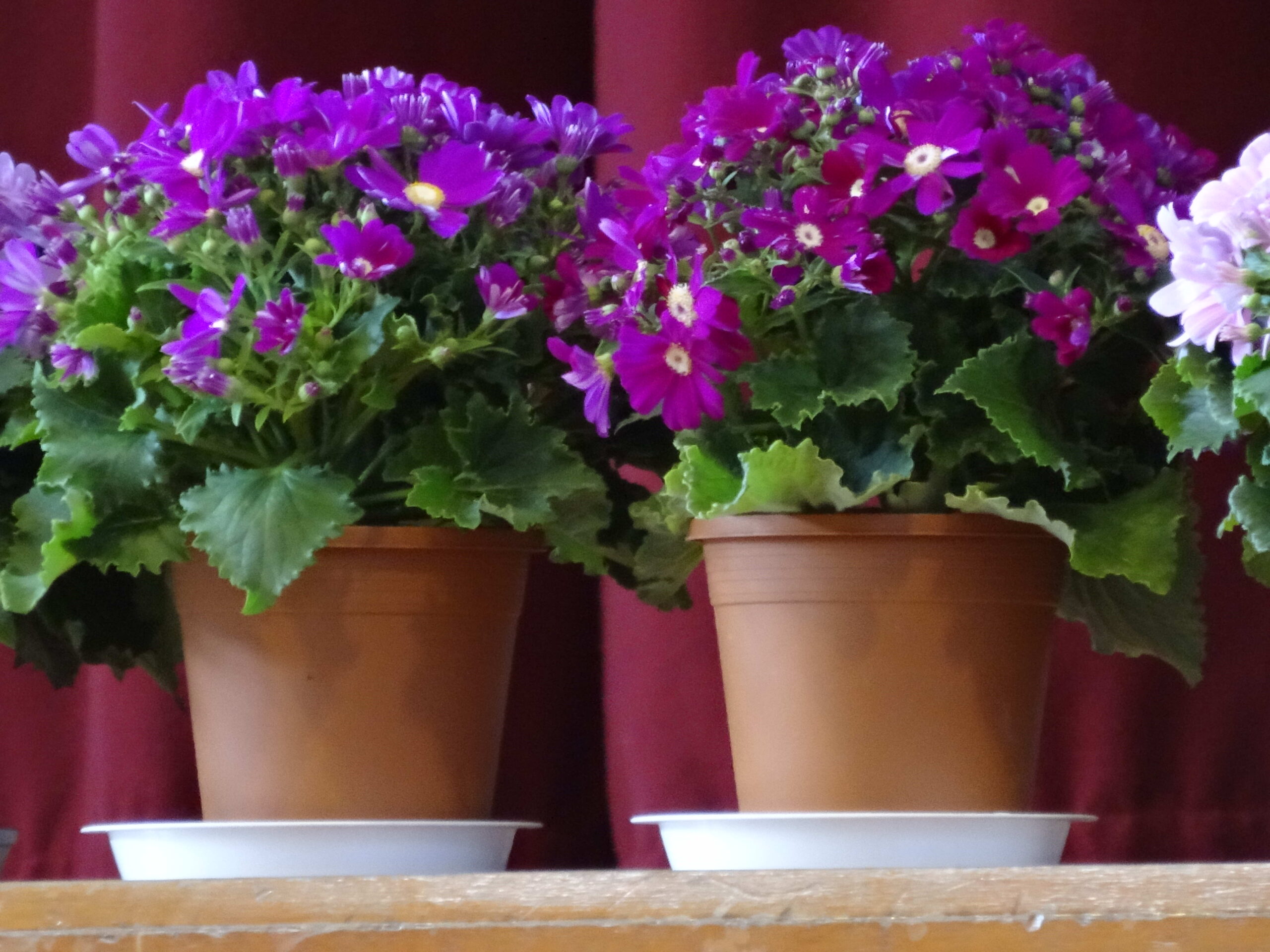 2017/02/28　卒業式予行演習