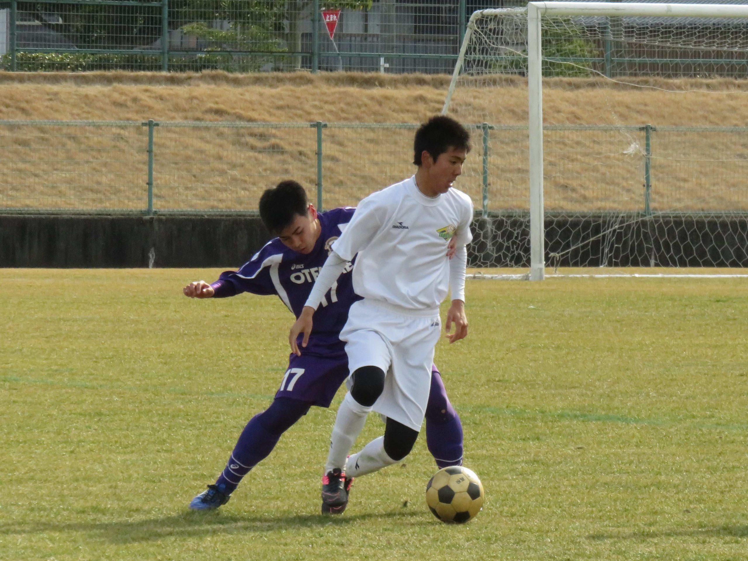 活動について(2017.02.11)