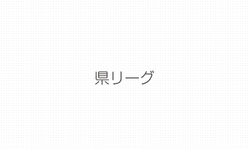 平成29年度　県リーグ（2部リーグ）