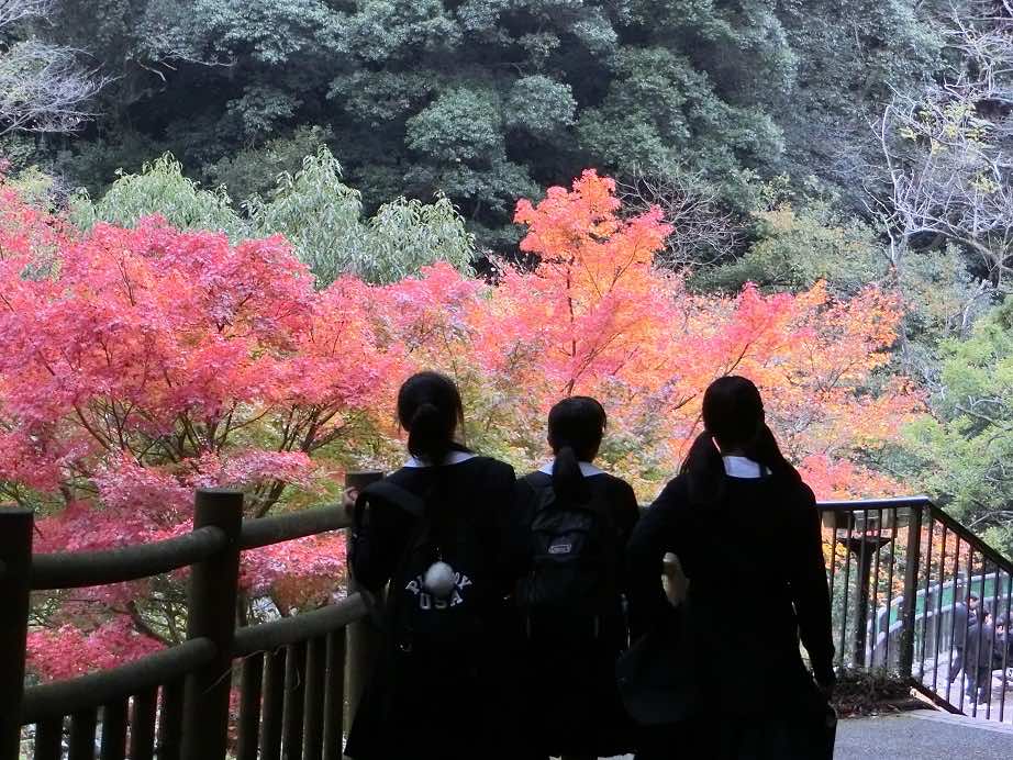2017/11/17　遠足（中学校）