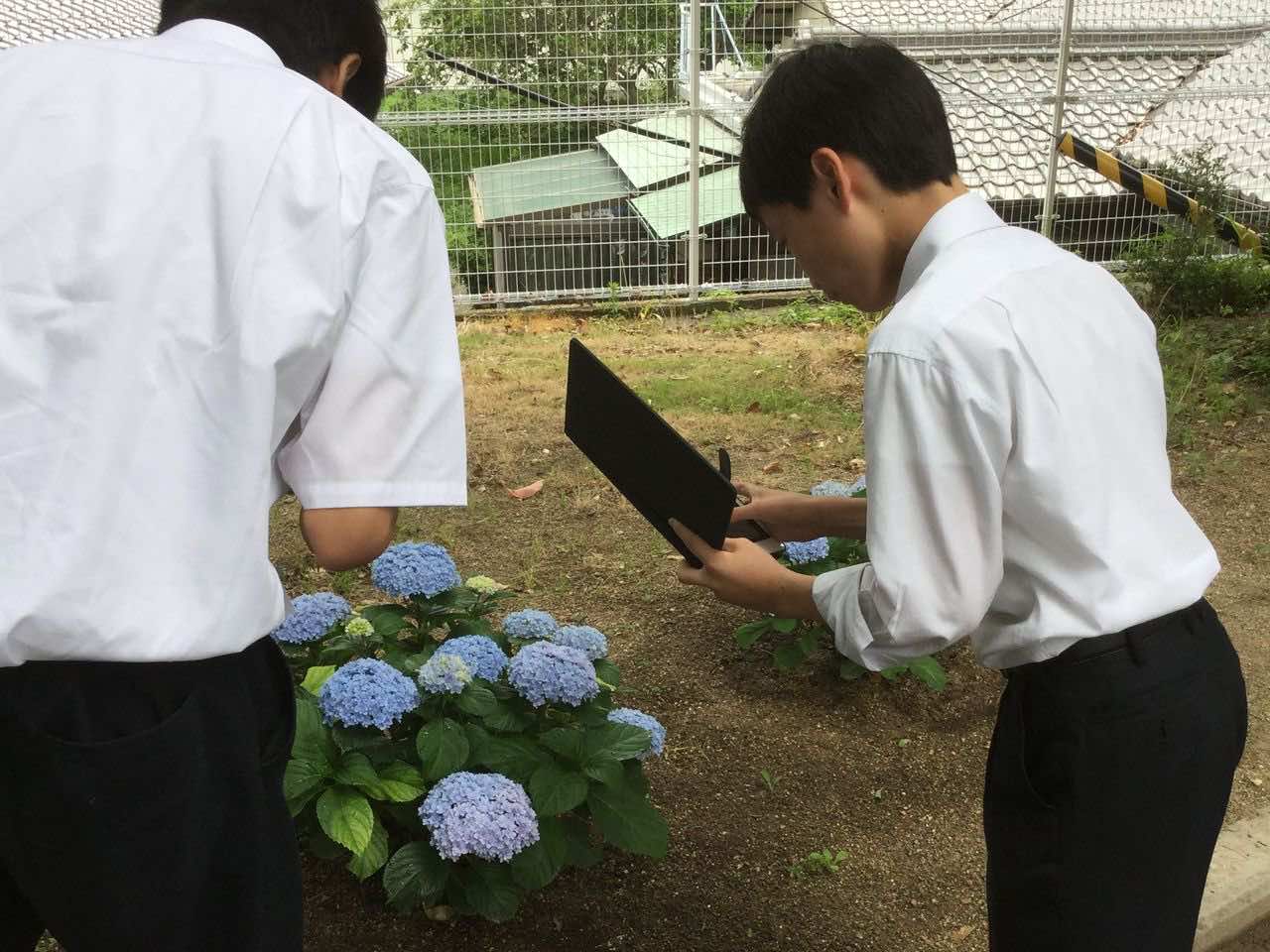 2018/06/19　タブレットを利用した植生調査