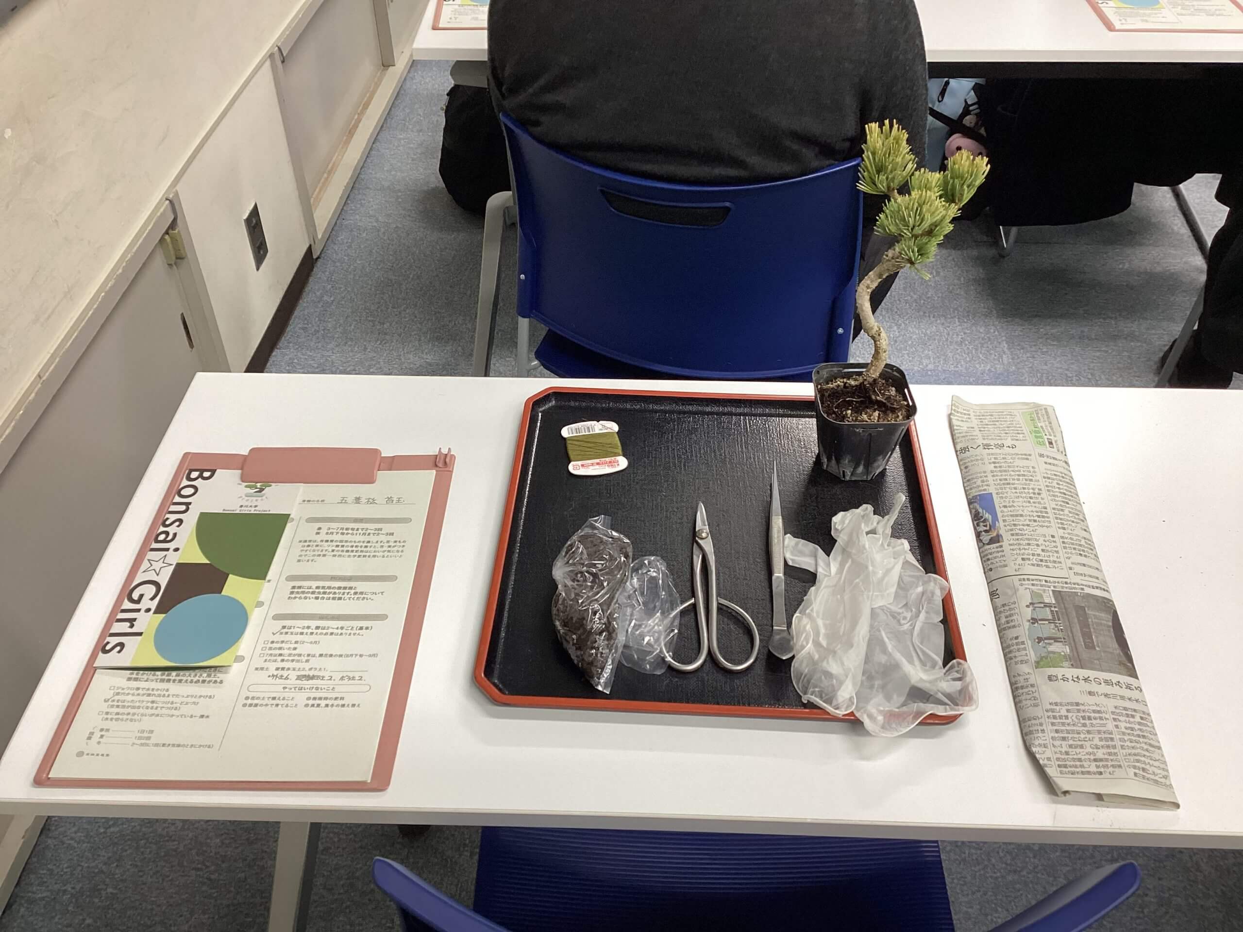 2022/12/17  香川大学Bonsai Girls Project