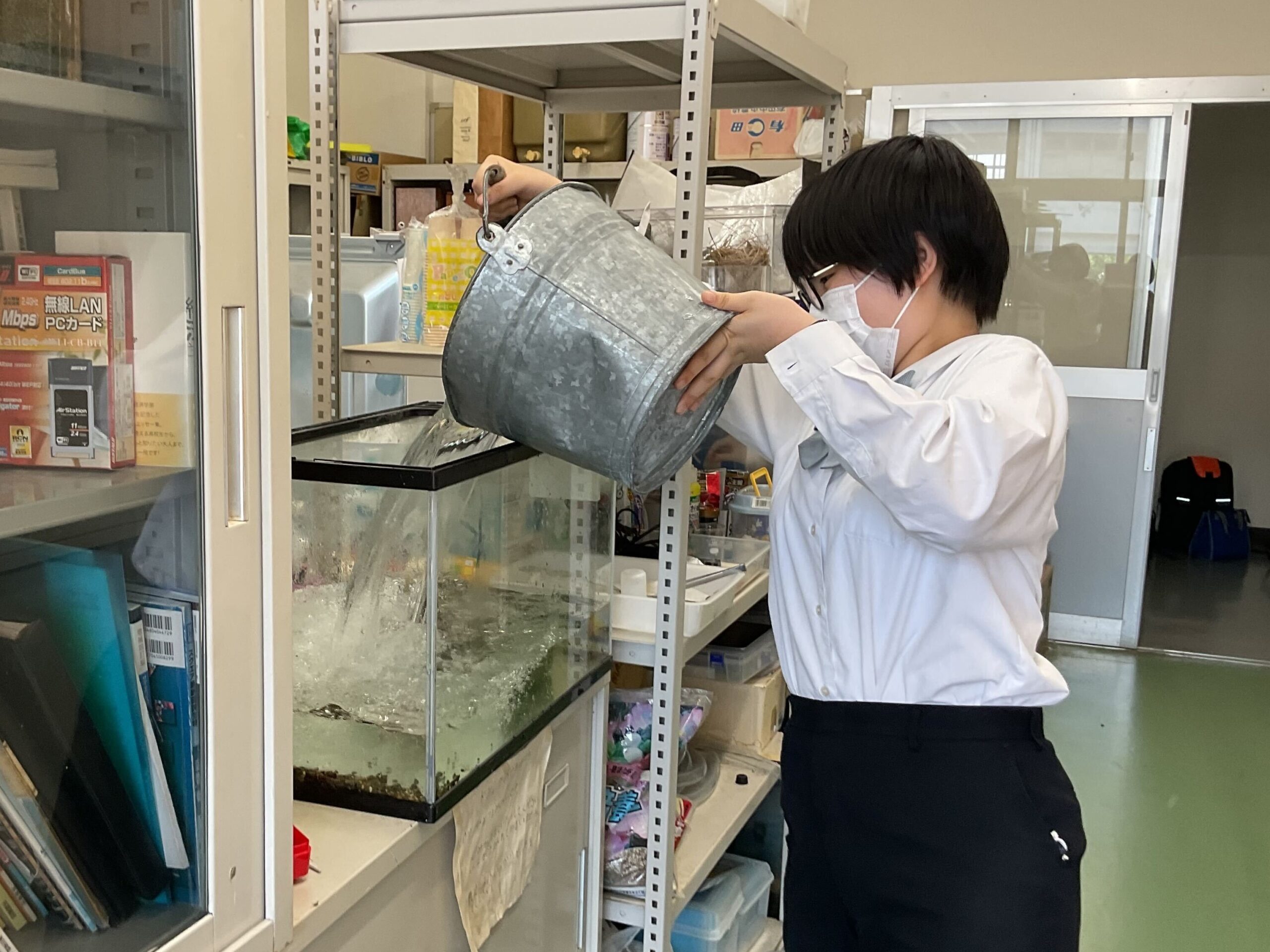 生物部の活動