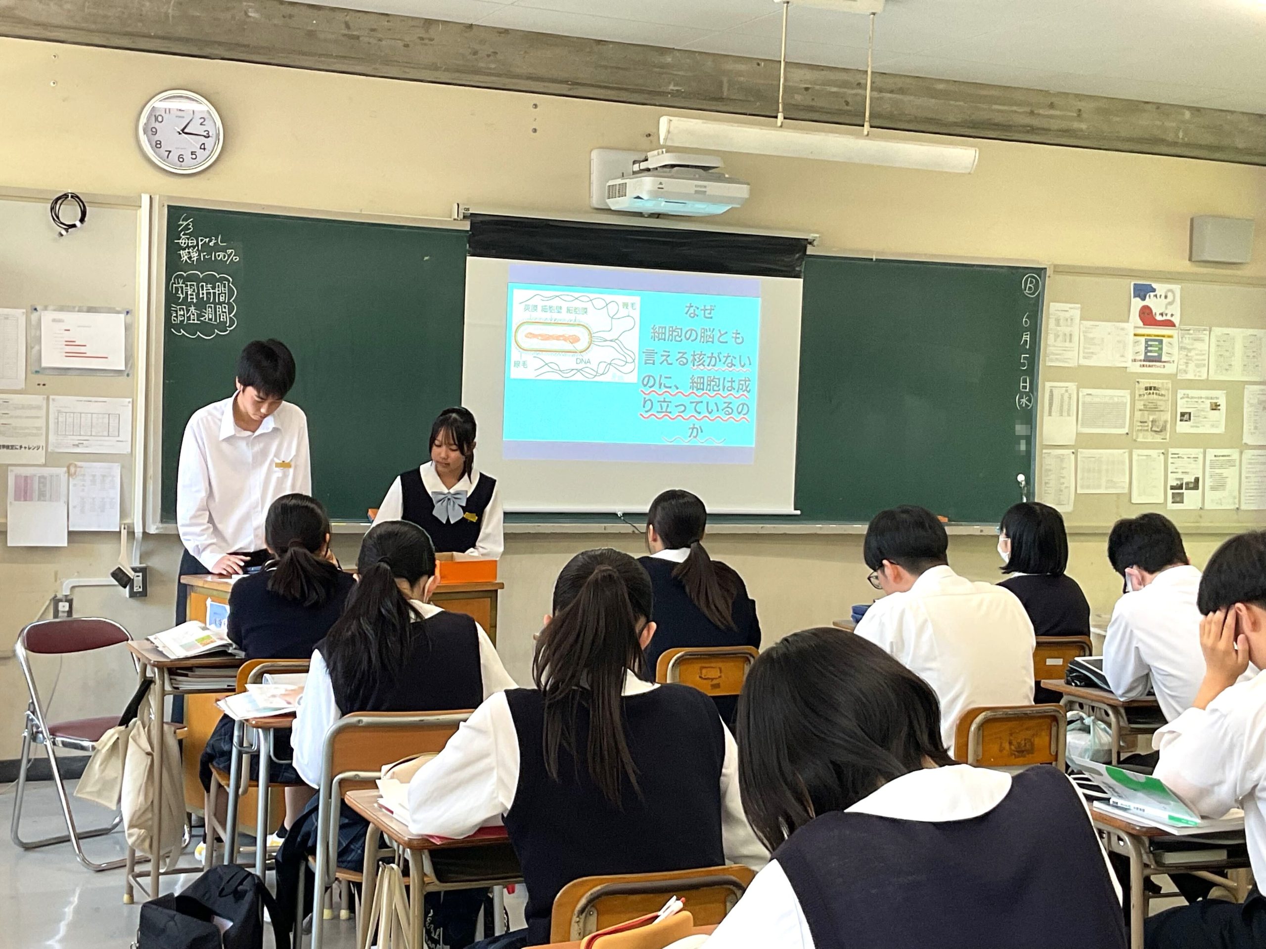 細胞の構造体PR大作戦！