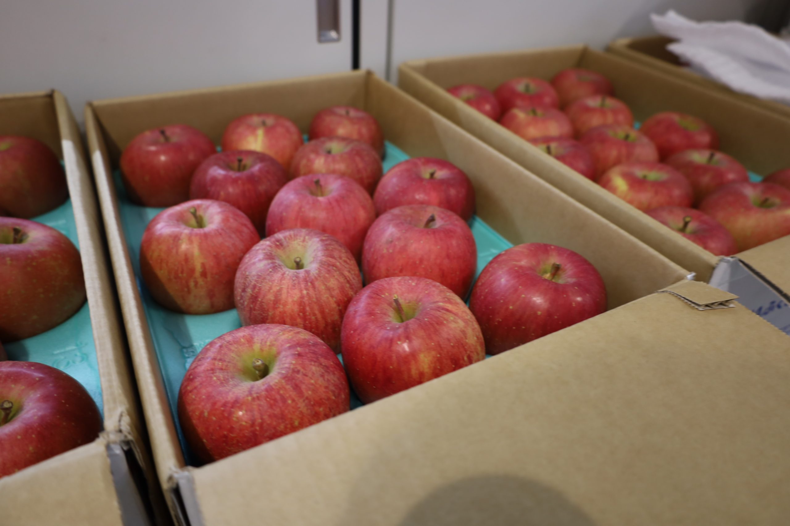 復興庁による出前授業