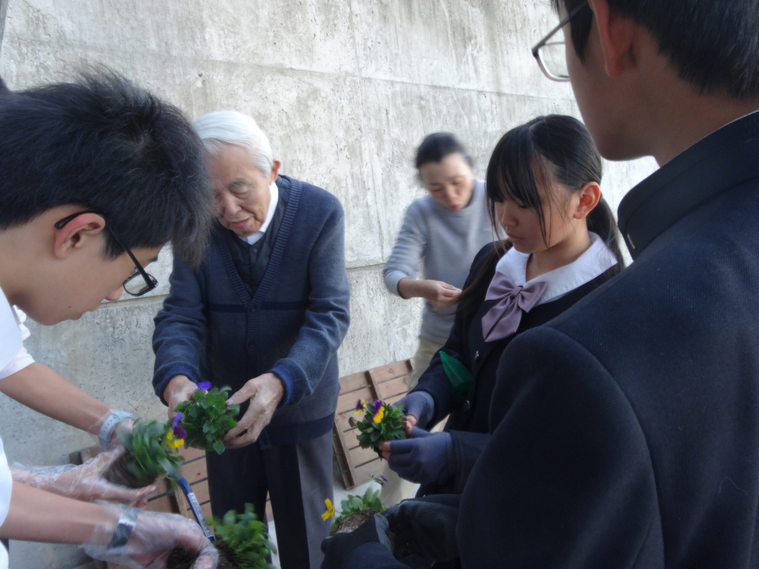 フラワーバスケットの作成